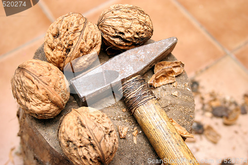 Image of walnuts and hammer 