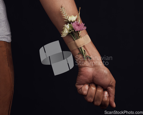 Image of Hands, bandage and flowers for health, healing and herbal therapy on a black background mockup in studio. Plaster, person and organic plant for alternative medicine, wellness and natural healthcare.