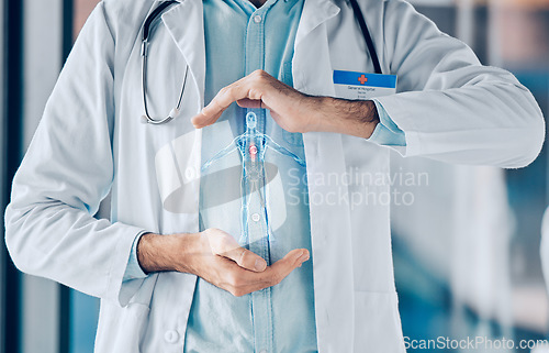 Image of Hands, employee or doctor with hologram, human body and healthcare with anatomy, science and research. Holographic person, medical professional and closeup with analysis, biotechnology and innovation