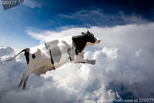 Image of Flying Cow