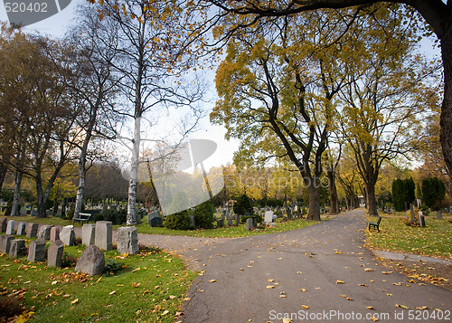 Image of Graveyard