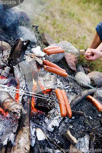 Image of Wiener Roast