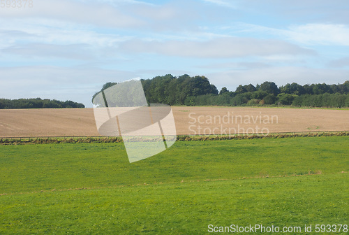 Image of English country panorama in Salisbury
