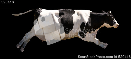 Image of Flying Cow