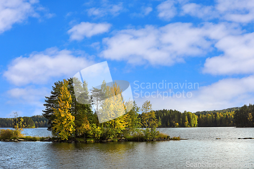 Image of Small Autumnal Island Under Beautiful Sky