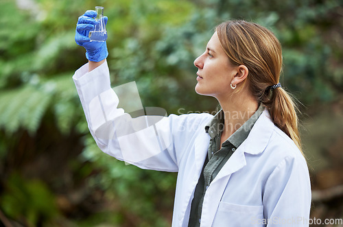 Image of Woods, water and woman scientist test sample for research or inspection of the ecosystem and environment study. Science, sustainable and professional environmentalist doing carbon footprint exam