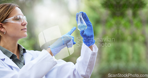 Image of Forest, water and woman scientist test for ecology research or inspection of the ecosystem, agriculture or environment study. Science, sustainable and professional environmentalist doing sample exam