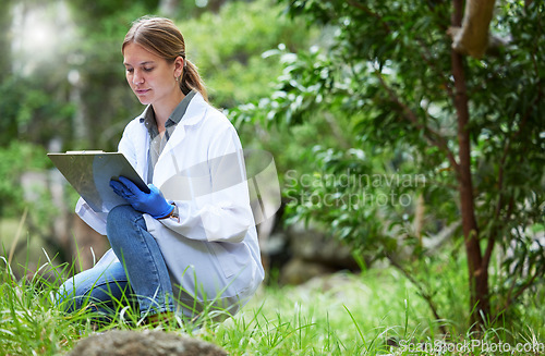 Image of Science in forest, checklist of plants and woman in nature, studying growth of trees for sustainable analysis. Ecology, development and research in biology, scientist with clipboard test for grass.