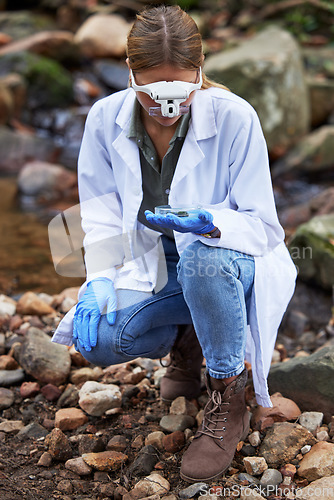 Image of Research, rock and woman scientist test sample for inspection of the ecosystem, woods or environment study. Ecology, sustainable and professional environmentalist doing carbon footprint exam