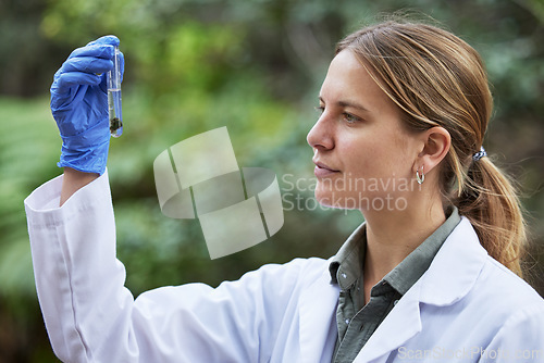 Image of Science, analysis and woman with plants test tube in woods, studying growth of bacteria and sustainability in nature. Ecology, trees and research biology for scientist sample and forest inspection.