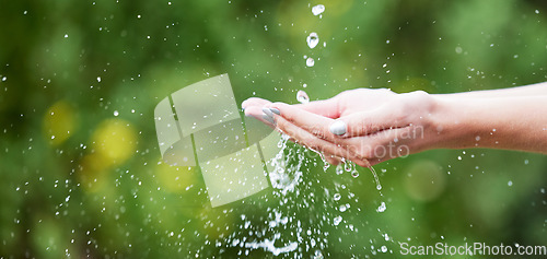 Image of Woman, hands and palm with water for natural sustainability, washing or cleanse in nature. Closeup of female person with falling liquid drops for sustainable eco friendly environment in the outdoors