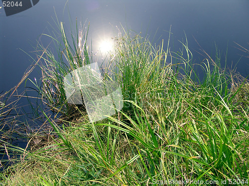 Image of pond