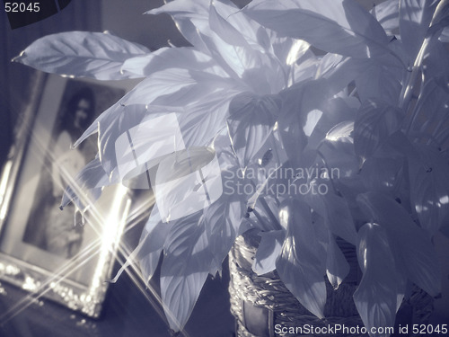 Image of composition