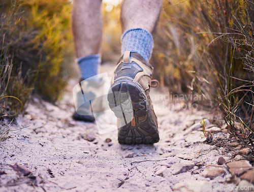 Image of Hiking, fitness and shoes of man in nature for relax, explore and trekking adventure. Travel, workout and exercise with closeup of person walking on forest path for training, sports and health