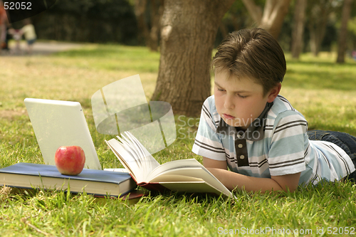 Image of Relaxing in the park