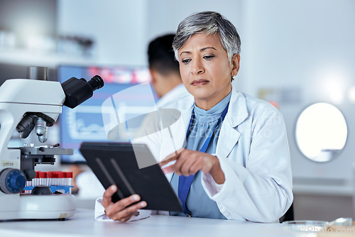 Image of Scientist, woman or tablet in laboratory for medical development, innovation and data analysis. Mature female researcher, focus or test for digital investigation, biotechnology or science information