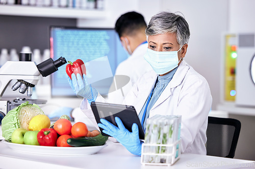 Image of Female scientist, vegetables and lab with tablet for information on app or research for diet. Science, expert and study with technology for food or analysis with reading on agriculture or experiment.