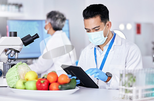 Image of Scientist, study and laboratory with vegetable with tablet for test with online app for nutrition. Research, diet and science expert with food or technology for information with internet for quality.