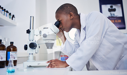 Image of Microscope, science and black woman in laboratory to check research, medical analysis and study biotechnology. Female scientist, microbiology and investigation of innovation, dna test and development