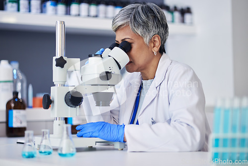 Image of Microscope, science and woman in laboratory to check research, medical analysis and study genes, particles or dna. Female scientist planning biotech, lens or review investigation, test and assessment