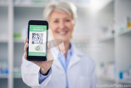 Image of Woman, pharmacist and phone with QR code scan for covid certification or verification at pharmacy. Hands of female person, medical or healthcare professional show mobile smartphone app for approval