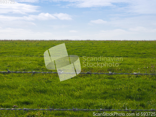 Image of Green grass surface background