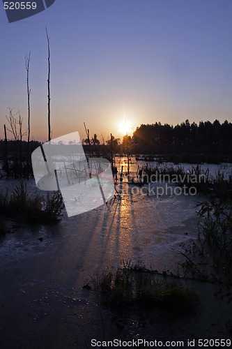 Image of decline above peat bogs