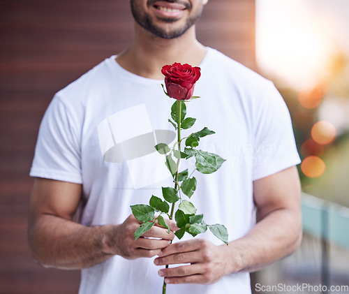 Image of Love, hands and man with rose for date, romance and care for valentines day present, proposal or engagement. Romantic surprise, floral gift and person holding or giving flower outside with bokeh.