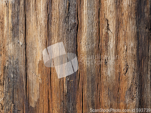 Image of Brown wood texture background