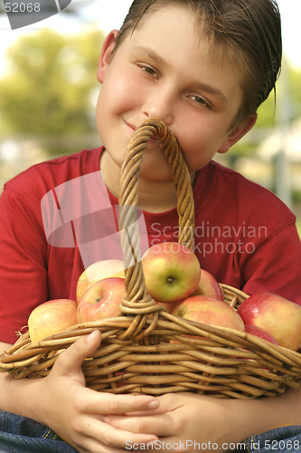 Image of Apple Basket