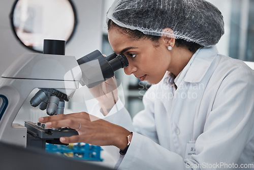 Image of Scientist, black woman and microscope, analysis of data and science innovation, microbiology or biotechnology in lab. Work, scientific study and researcher, doctor and test with medical research