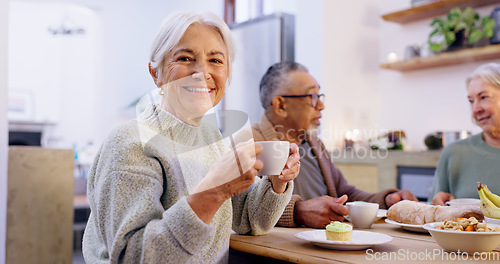 Image of Portrait, tea party and a group of senior people in the living room of a community home for a social. Friends, smile or retirement with elderly men and women together in an apartment for a visit