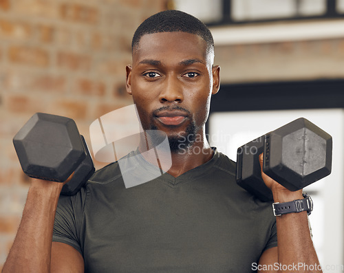 Image of Black man, gym weights and serious face portrait of a sports person or athlete ready for fitness. Training, workout and exercise motivation of a strong bodybuilder in a wellness studio for health