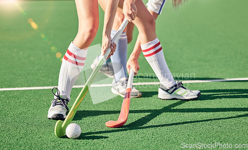 Image of Hockey stick, hockey ball and turf competition, sports games and challenge on grass field, pitch and outdoor. Women team, field hockey players and contest, action and sport training on stadium arena