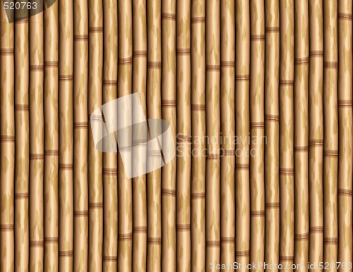 Image of bamboo wall