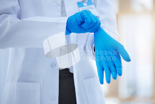 Image of Hands, gloves and healthcare with a doctor you can trust working alone in a hospital. Health, insurance and medical with a medicine professional putting on a rubber or latex glove for safety