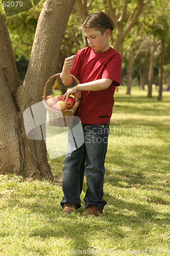 Image of Child holding a basket of apples