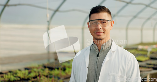 Image of Greenhouse, farmer and portrait of man with eco friendly, sustainability and green agriculture for wellness. Scientist, face or pride of entrepreneur of small business, healthy food or agro vision