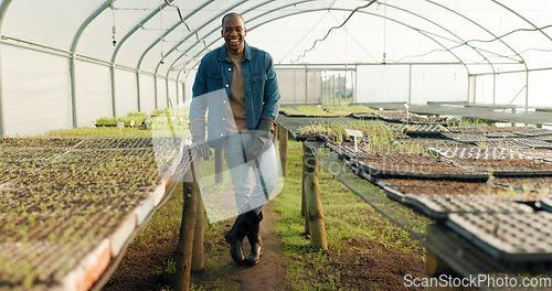 Image of Greenhouse, agriculture and portrait of farmer with plants, smile and quality assurance in food production. Sustainable business, agro farming with happy black man or vegetable supplier in garden.