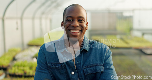 Image of Man, farming and happy portrait in greenhouse, healthy food and sustainability in eco friendly agriculture. Black entrepreneur, face and africa nutrition in ngo farm startup, ecology and vegetables