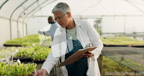 Image of Scientist, woman and checklist for greenhouse plants, farming or agriculture inspection, quality assurance and growth. Senior farmer or science expert check vegetables and clipboard for food security