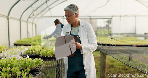 Image of Scientist, woman and checklist for greenhouse farming, gardening or agriculture inspection of plants and growth. Senior farmer or science expert check vegetables, progress and writing on clipboard