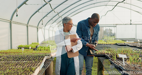 Image of Man, woman and walk in greenhouse for agriculture gardening, land growth or compost business. Farmer, talking and vegetable dirt for inspection document checklist or plant soil, sustainable or food