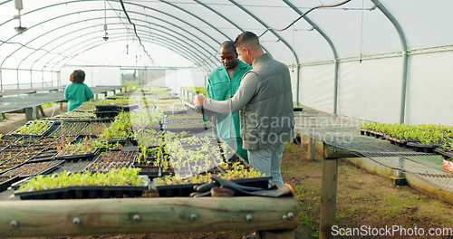 Image of Greenhouse, agriculture and farm employees with plants to check growth, quality assurance and food production. Sustainable business, agro farming and vegetable supplier in market inspection together.