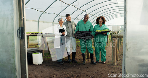 Image of Farmer, teamwork and greenhouse plants, agriculture and sustainability collaboration in gardening or farming. Professional food scientist, manager and people laughing in portrait for agro development