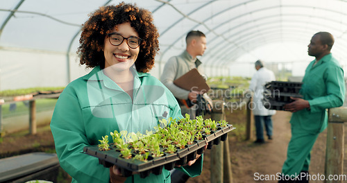 Image of Woman, tray plants and farming in greenhouse for agriculture, eco friendly gardening and sustainability. Farmer people in portrait with green sprout, vegetables growth and happy for agro development