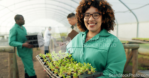 Image of Woman, tray of plants and portrait in greenhouse for agriculture, eco friendly gardening and sustainable farming. Farmer or people with green sprout, vegetables growth and happy for agro development
