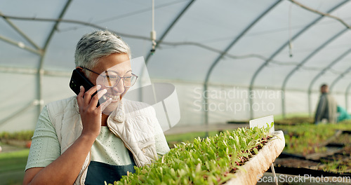 Image of Woman, phone call and greenhouse plants, farming or agriculture communication, growth and agro business management. Senior farmer, supplier or seller talking on mobile with sprout tray or gardening
