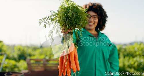 Image of Farmer, woman and carrot in agriculture, greenhouse and farming for sustainability, grocery and gardening offer. Worker portrait or supplier of vegetables, food and ngo, nonprofit or business harvest