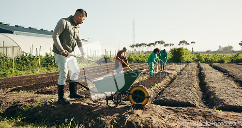 Image of Man, farming and wheelbarrow on land, healthy food and sustainability in eco friendly agriculture. Diversity, work and africa compost in ngo farm startup in ecology, health soil and field to plant